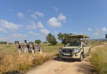 Why the Bothongo Rhino & Lion Nature Reserve Is the Perfect Winter Holiday Adventure for the Whole Family
