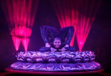 The Royal Countess Zingara Returns to Johannesburg